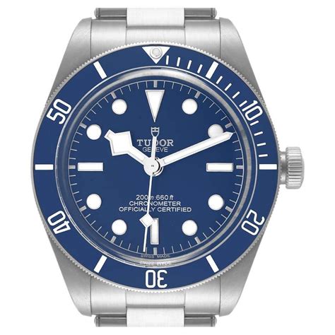 tudor blue bezel black dial|Tudor Black Bay 79030 Blue Dial and Bezel .